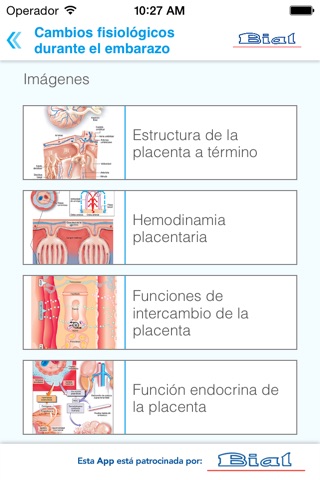 Embarazo y dieta screenshot 3