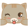 Bobo the cute brown cat for iMessage Sticker