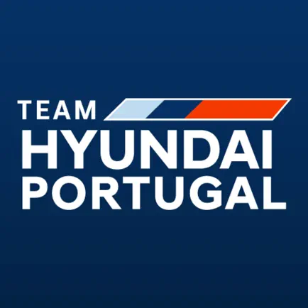 Team Hyundai Читы