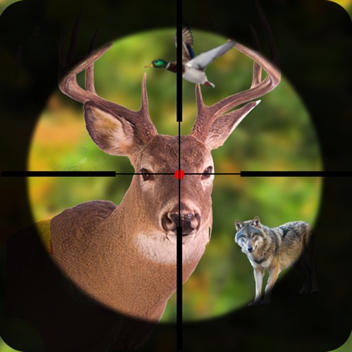 Jungle Hunting - Hunter Sniper icon