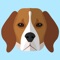 Finally a great personalised app for your Beagle