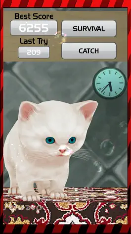 Game screenshot The Kitten Run Simulator 2017 – Cute Kitty Pet apk