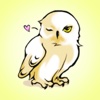 Magic Owl - Stickers!