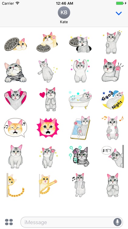 Stickers My Cat Animated Stickers