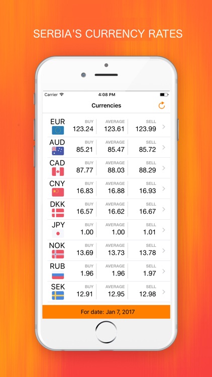 Currency Converter Serbia - Official Rates