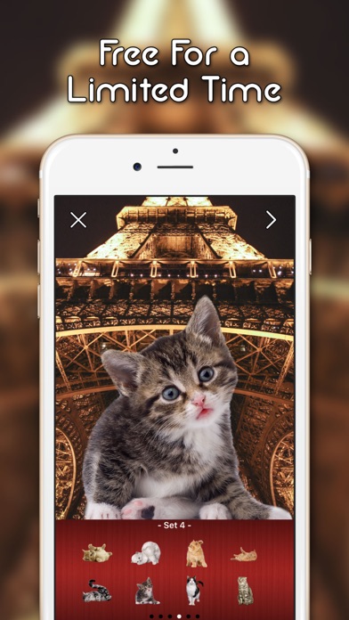 How to cancel & delete KittyGram - Cutest Cats Photo Decorator Free from iphone & ipad 3