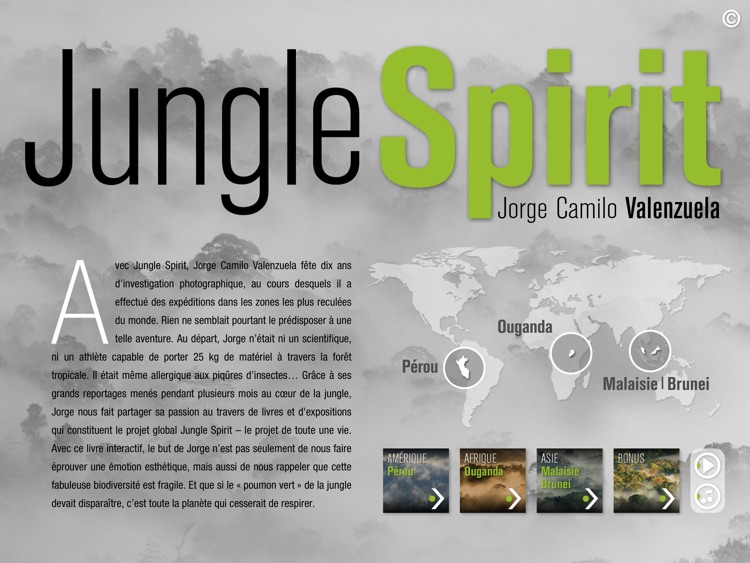 Jungle Spirit