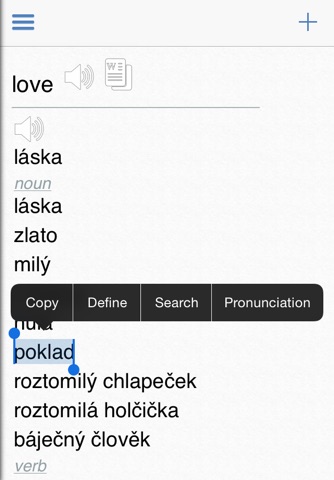 Czech Dictionary + screenshot 3