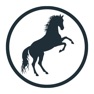 Get Horse Poser for iOS, iPhone, iPad Aso Report