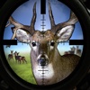 African Safari: Hunter of Deer Angry