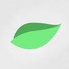 Green Leaf Herbal Solutions
