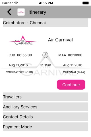 Air Carnival screenshot 4