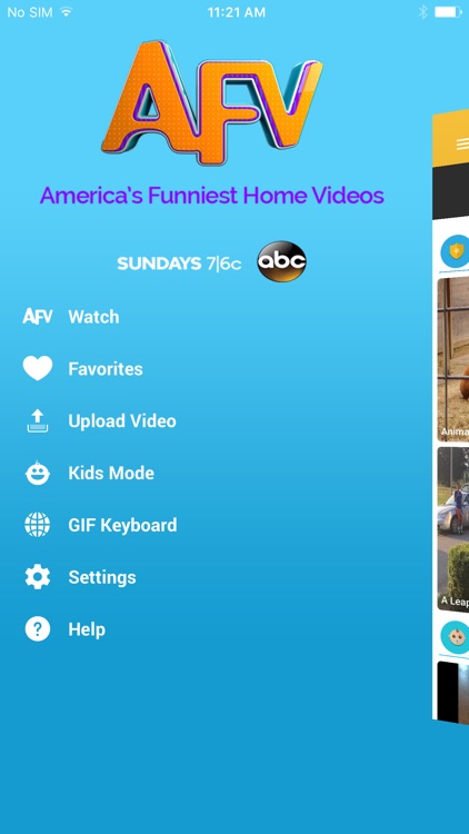 America's Funniest Home Videos
