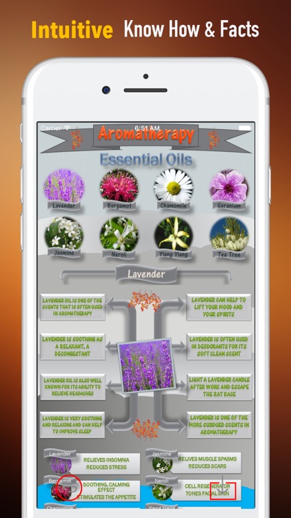 Essential Oils Natural Remedies Tips-Health Guide