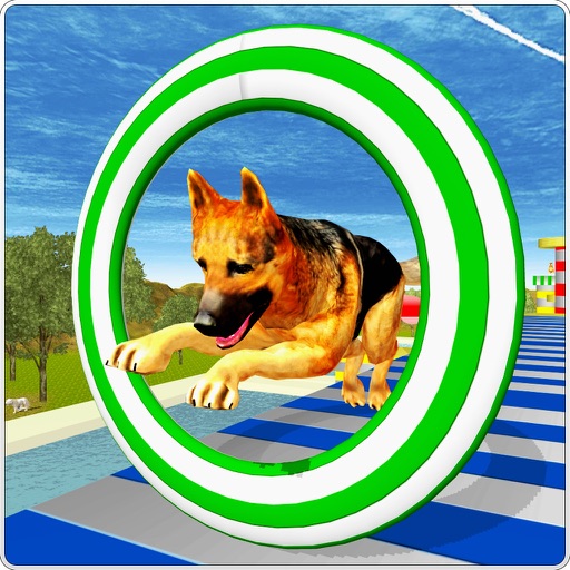 Crazy Dog Jump Stunts Adventures 3D Icon