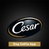 CESAR® SELFIE