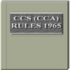 CCS (CCA) Rules 1965