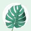 Plant Identifier - PlantMe ios app
