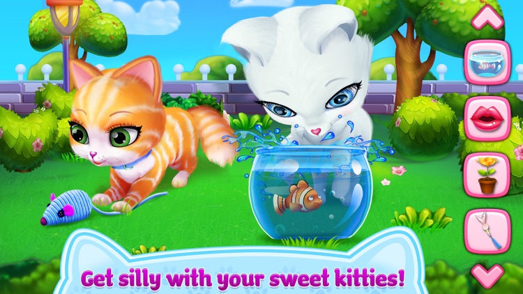 Kitty Cat Love
