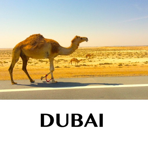 Dubai - holiday offline travel map icon