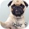 Icon Funny Dog Pictures and Wallpaper