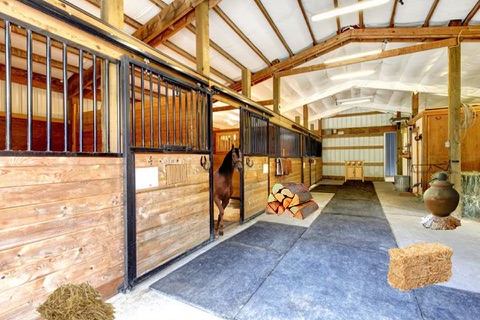 Locked Horse Farm Escape - náhled