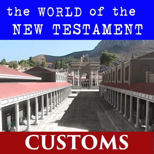 NT World - Customs icon