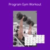 Program gym workout