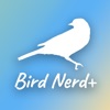 Bird Nerd+ Sticker Packs