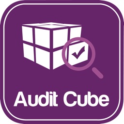 AuditCube