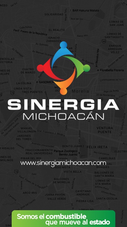 Sinergia Michoacan