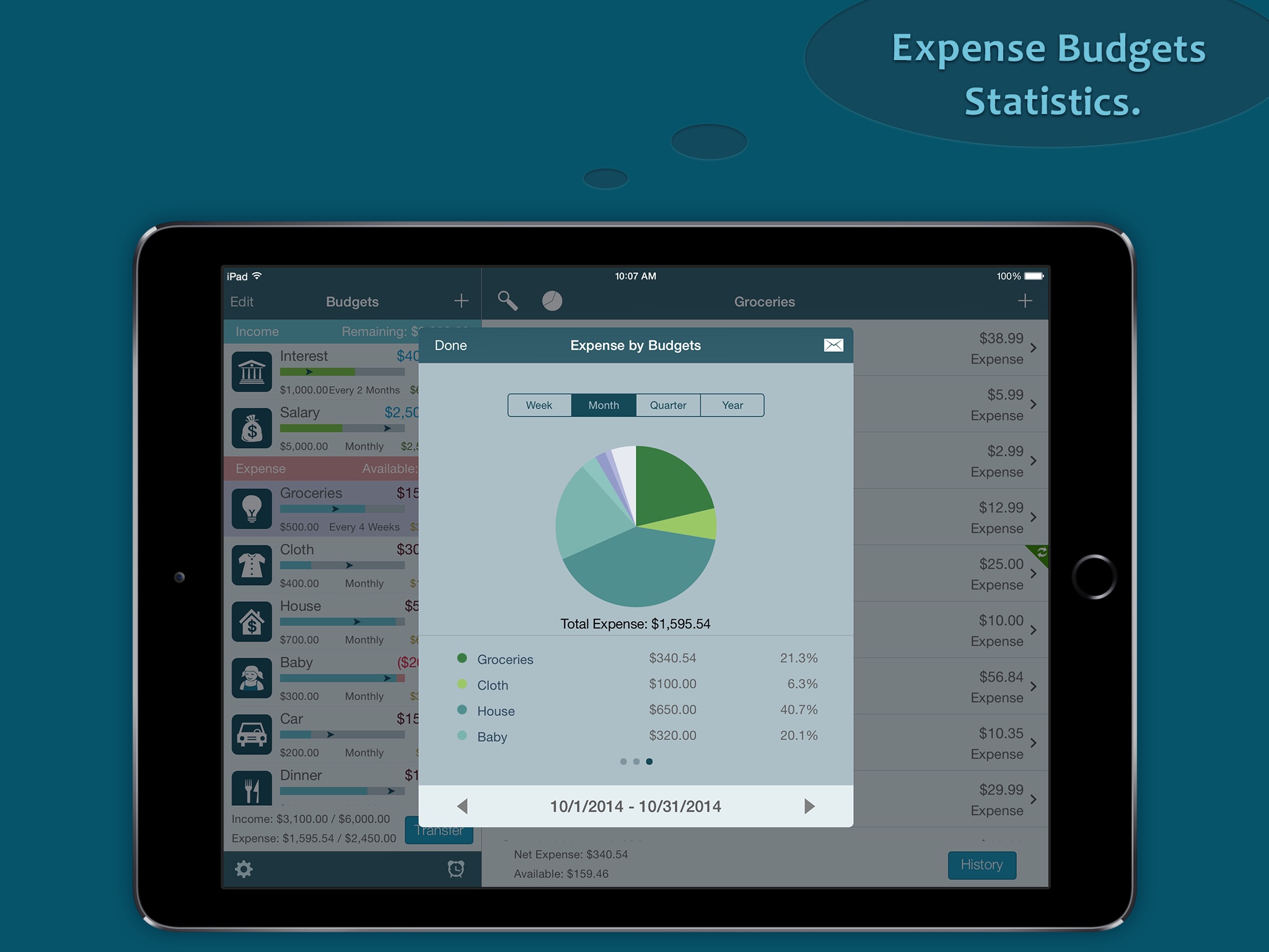 Best Budget Pro for iPad screenshot 3
