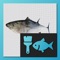 If you have a fish theme in your creative work, this app can support your activities