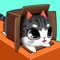 Kitty in the Box Kitty in the Box