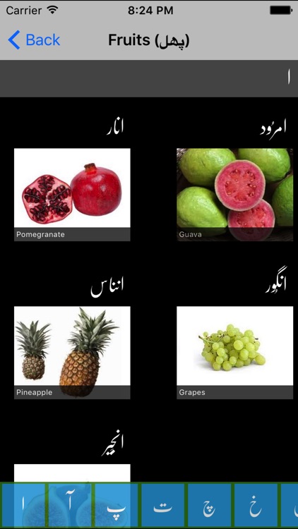 Learn Urdu screenshot-3