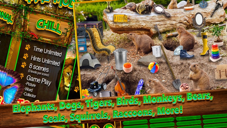 Animal Kingdom Objects - Hidden Object Time Quest screenshot-4