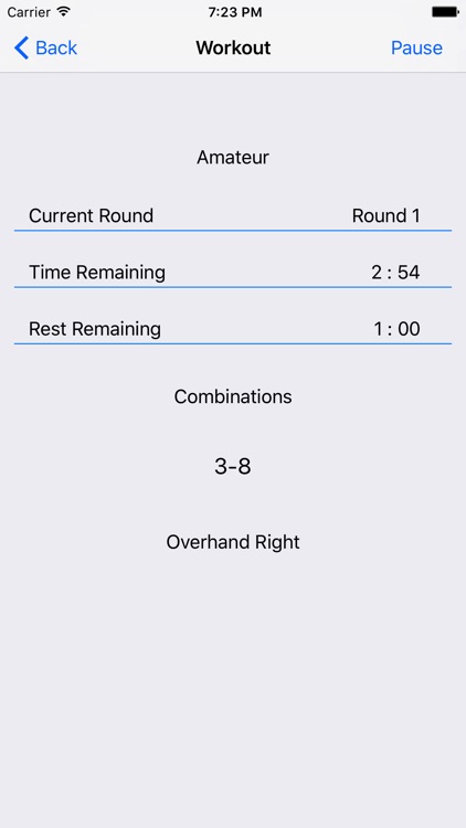 Precision Boxing Coach Pro