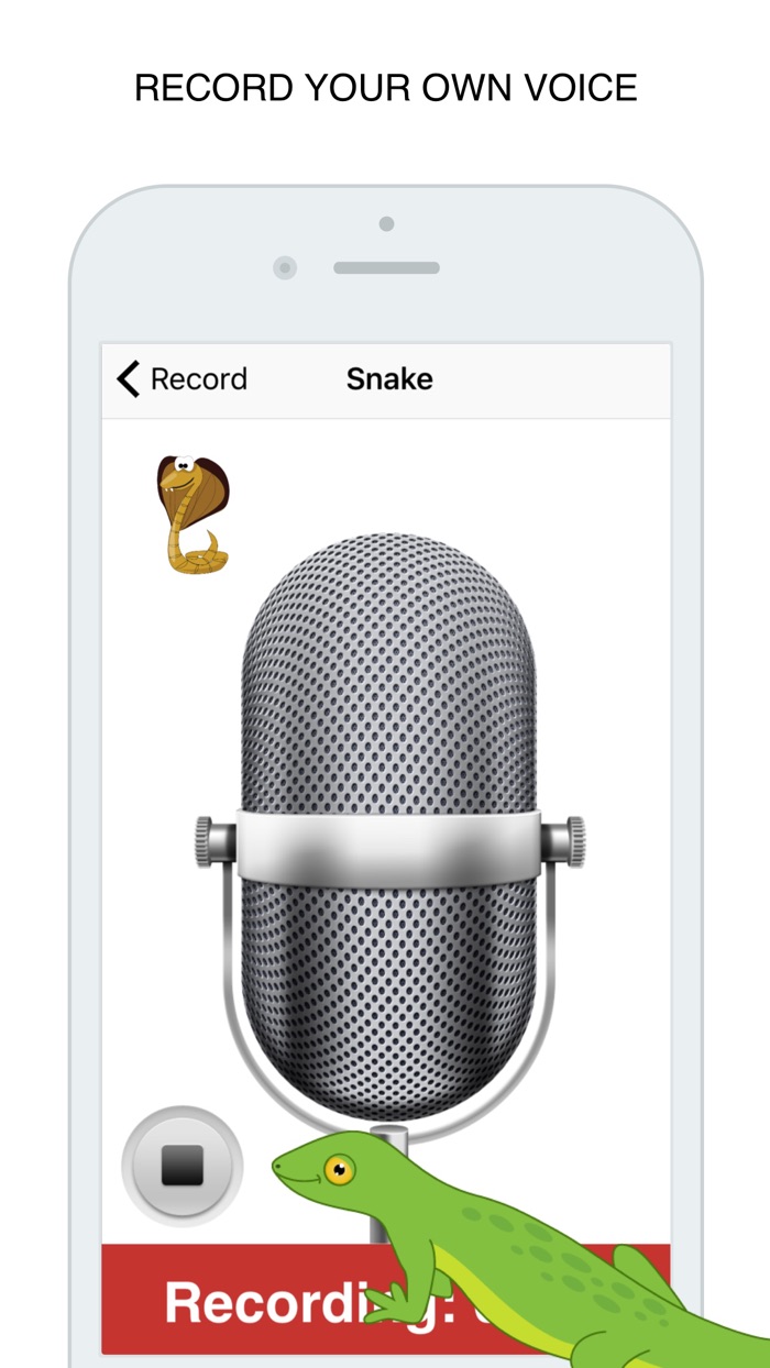 More Animals Flashcard for babies and preschool