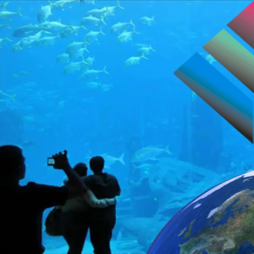 Aquarium Videos Aquarium Videos
