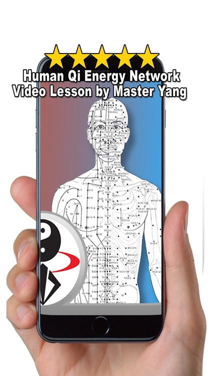 Qi Energy Circulatory System Video Lesson