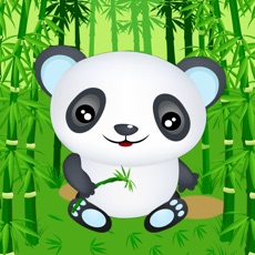 Activities of Panda Bear Run