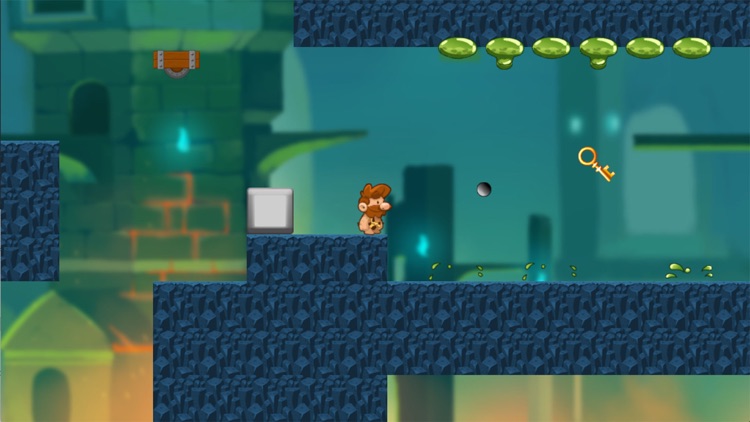 Super BiSon Jungle Adventure screenshot-4