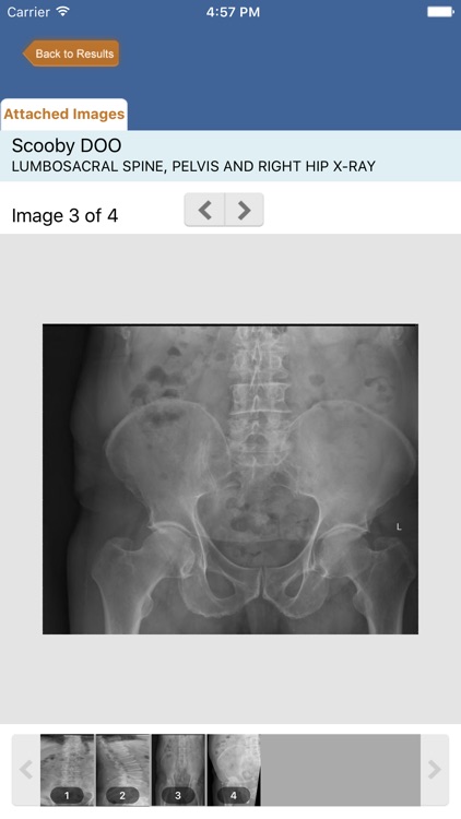 Medinexus Nepean Imaging Results screenshot-4