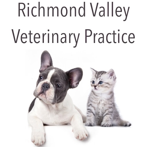 Richmond Valley Vet