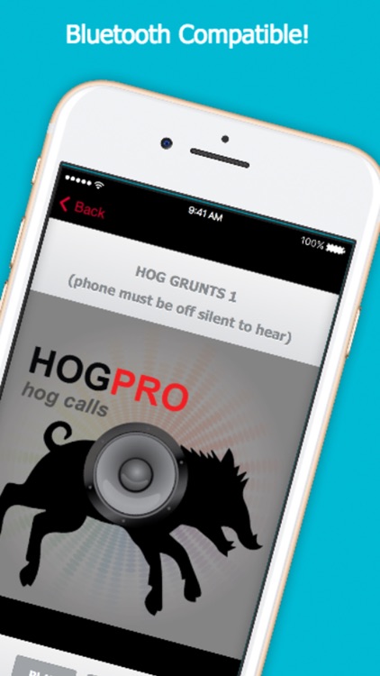 Hog Calls For Hog Hunting