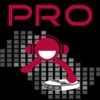 Pioneer Pro DJ School