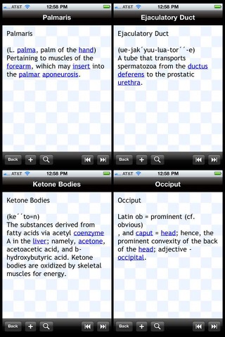 Anatomical Glossary screenshot 2