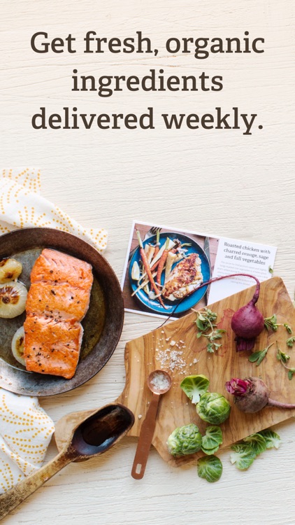 Sun Basket Meal Delivery