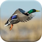 Top 36 Entertainment Apps Like Duck Hunting Calls New - Best Alternatives