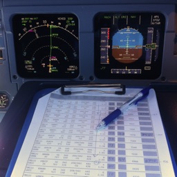 Flight Briefing